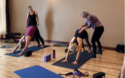 How To Purchase Durable Custom Yoga Mats In Bulk For Yoga Training Schools